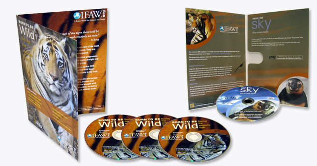 Bespoke Packaging For CDs and DVDs